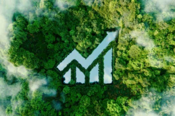 尽管失业率处于低位，欧元区去年薪资增速有所放缓